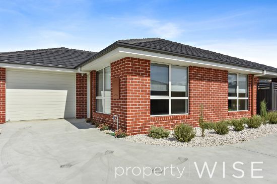 1/19 Parkfield Drive, Youngtown, Tas 7249