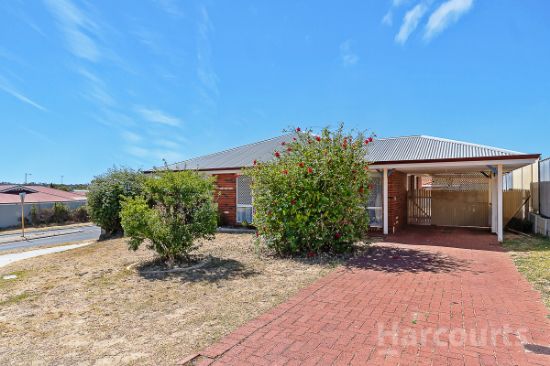 1 Attwood Place, Clarkson, WA 6030