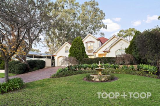 1 Ranelagh Court, Golden Grove, SA 5125