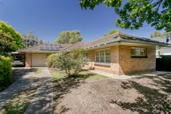 1 Wurilba Avenue, Hawthorn, SA 5062