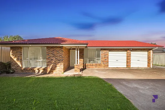 100A Hunter St, Condell Park, NSW, 2200