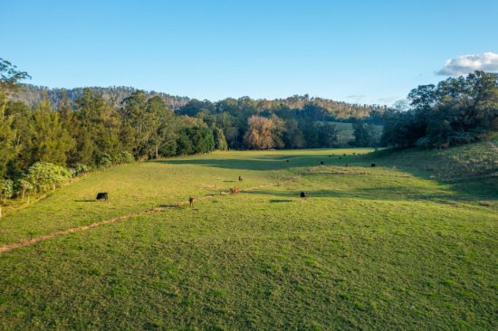 1021 South Arm Road, South Arm, NSW 2449