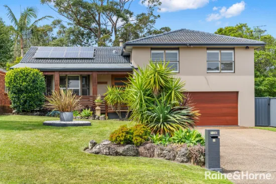 106 Carroll Ave, Mollymook Beach, NSW, 2539