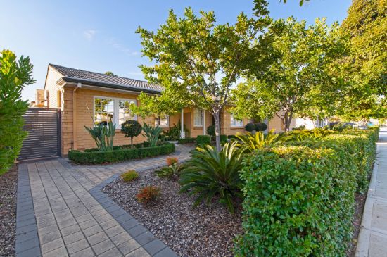 11/7 Edwards Avenue, Park Holme, SA 5043