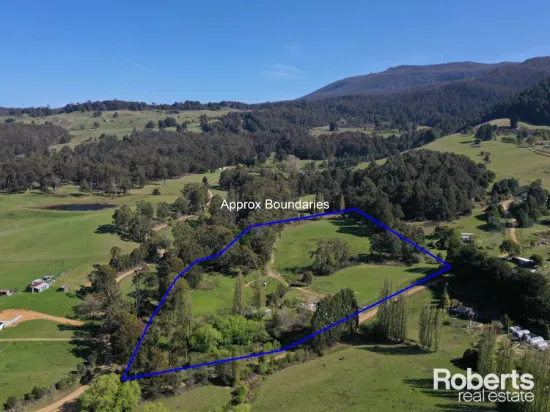 111 Dillons Road, Ellendale, TAS, 7140