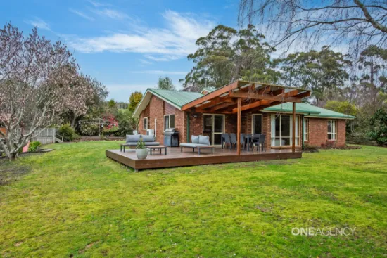 1117 Deep Creek Rd, Mount Hicks, TAS, 7325