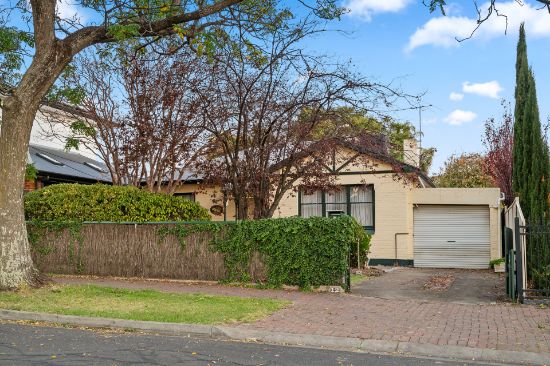 12 Cotham Avenue, Kensington Park, SA 5068