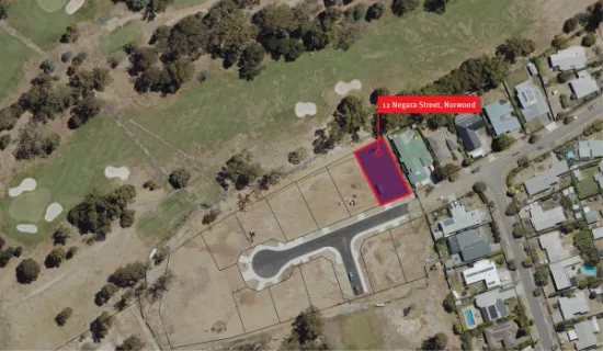 12 Negara Street, Norwood, TAS, 7250