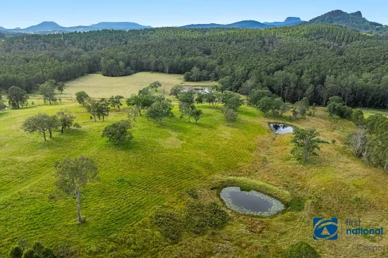 1212 Beaury Creek Road, Urbenville, NSW, 2475