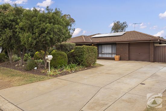 13 President Avenue, Andrews Farm, SA 5114