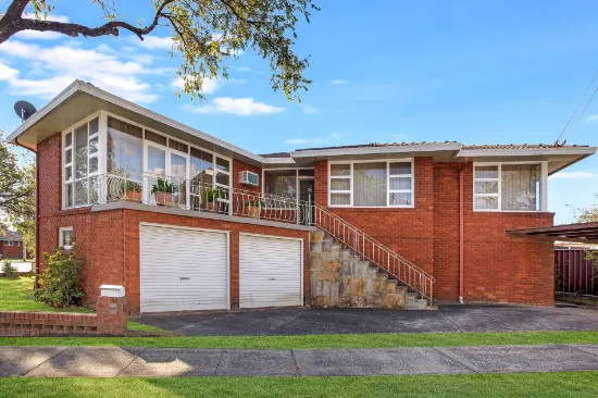 133 Hector Street, Sefton, NSW, 2162