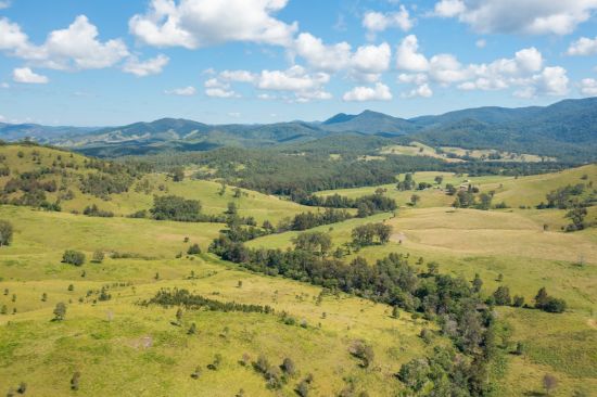 1331 Forbes River Road, Long Flat, NSW 2446