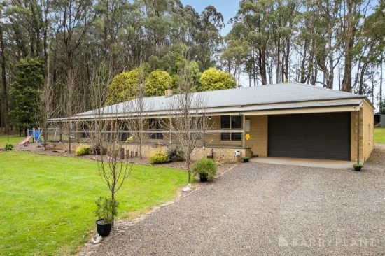 1349 Myers Creek Rd, Toolangi, VIC, 3777