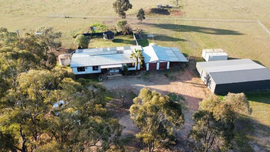 1358 Alectown West Road, Goonumbla, NSW 2870