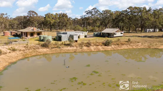 1386 Cope Road, Gulgong, NSW, 2852