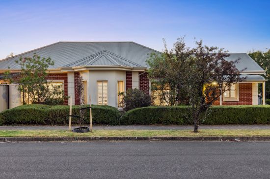 14 Harrow Avenue, Magill, SA 5072