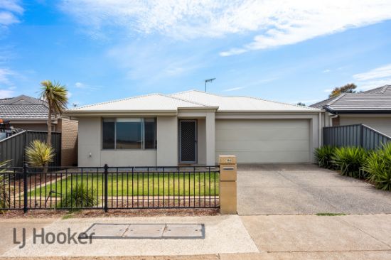 144 Petherton Road, Andrews Farm, SA 5114