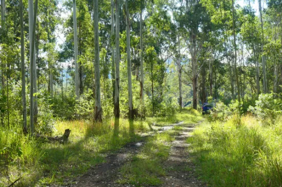 146 Mills Road, Bean Creek, NSW, 2469