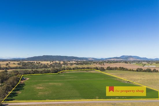146 Wilbetree Road, Mudgee, NSW 2850