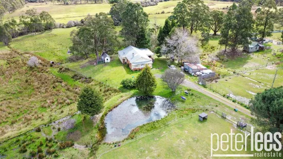 149 Mount Arthur Road, Patersonia, TAS, 7259