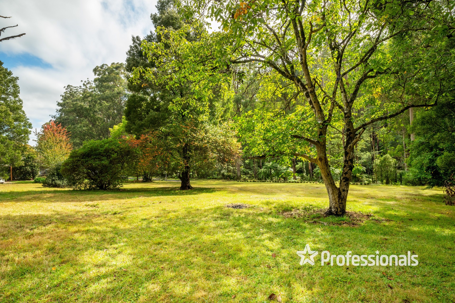 15 Lloyds Road, Powelltown, Vic 3797 Residential Land for Sale Real Search