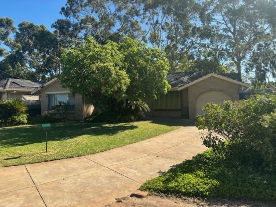 15 Pankina Grove, Marion, SA 5043