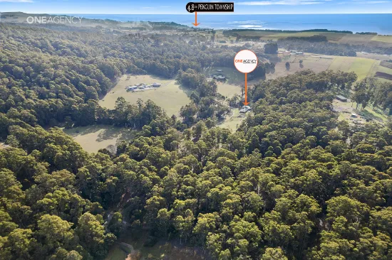 159 White Hills Road, Penguin, TAS, 7316