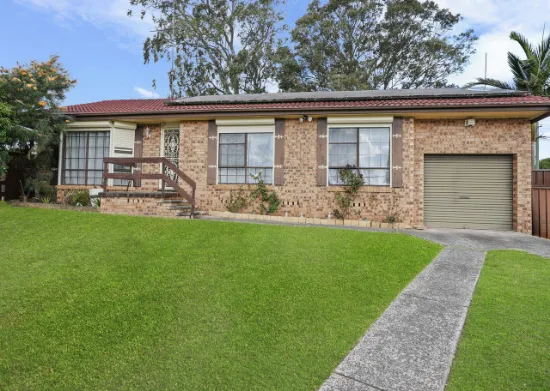 16 Herborn Pl, Minto, NSW, 2566