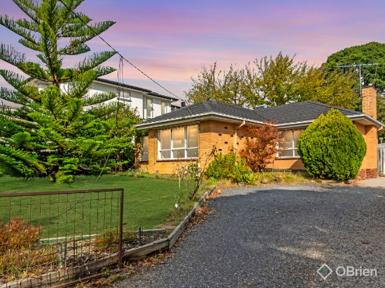 16 Jolimont Road, Forest Hill, Vic 3131