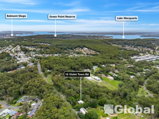 16 Violet Town Road, Mount Hutton, NSW, 2290
