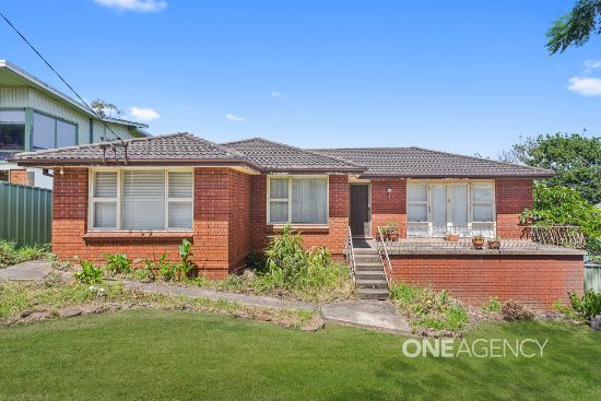161 Northcliffe Drive, Lake Heights, NSW 2502