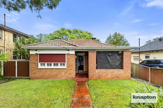 163 King Georges Road, Wiley Park, NSW, 2195