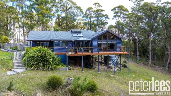 164 The Glen Road, Pipers River, TAS, 7252