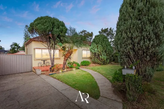 17 Australia Street, Bass Hill, NSW, 2197