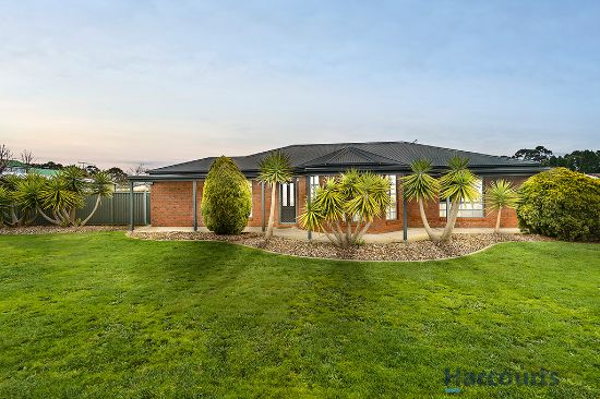 17 Kenmare Crescent, Invermay Park, Vic 3350