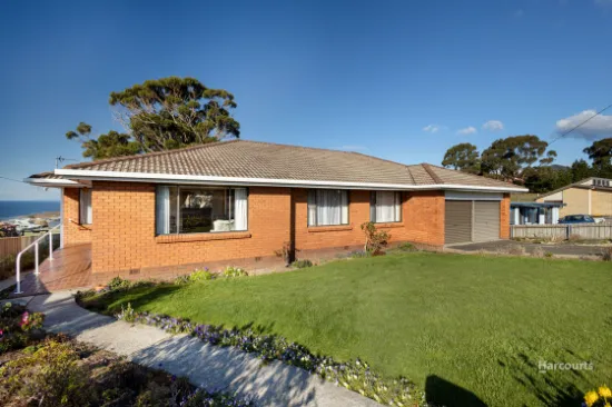 17 Pineleigh Street, Penguin, TAS, 7316