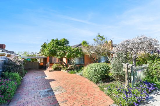 17 Pippin Avenue, Burwood East, Vic 3151