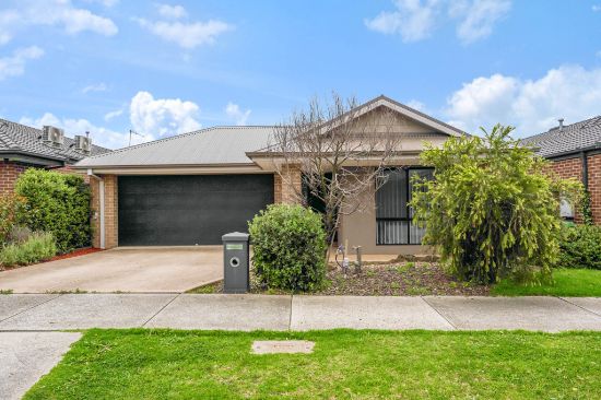 17 Verve Circuit, Cranbourne West, Vic 3977