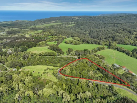 170 Blue Johanna Road, Johanna, VIC, 3238