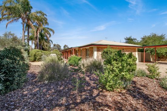 171 Ral Ral Avenue, Renmark, SA 5341