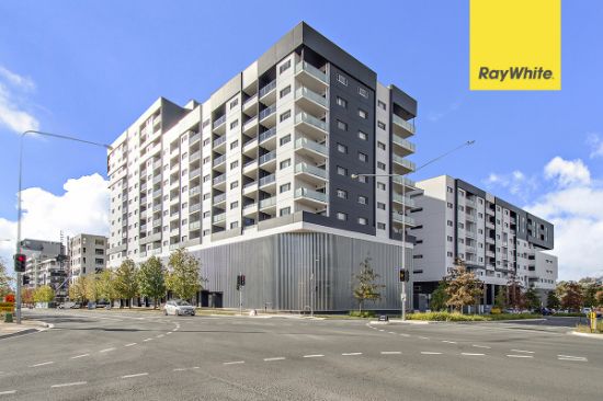 187/325 Anketell Street, Greenway, ACT 2900