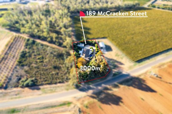 189 McCracken Street, Irymple, Vic 3498