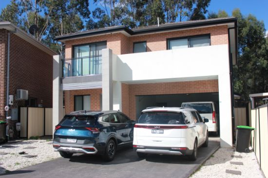 19 Angledool Avenue, Hinchinbrook, NSW 2168
