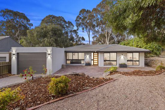 19 Bowen Road, Tea Tree Gully, SA 5091