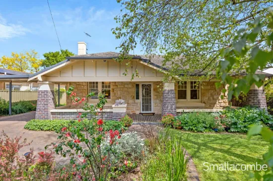 19 King Edward Avenue, Hawthorn, SA, 5062