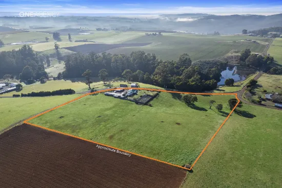 19 Langmaids Road, Kindred, TAS, 7310