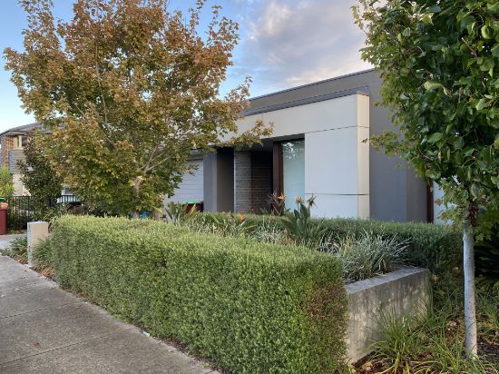19 Sedge St, Clyde North, Vic 3978