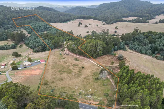 1927 Wilmot Rd, Lower Wilmot, TAS, 7310