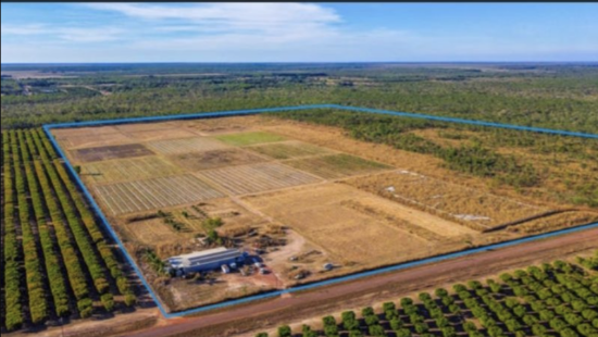 195 Connelly Rd, Lambells Lagoon, NT 0822