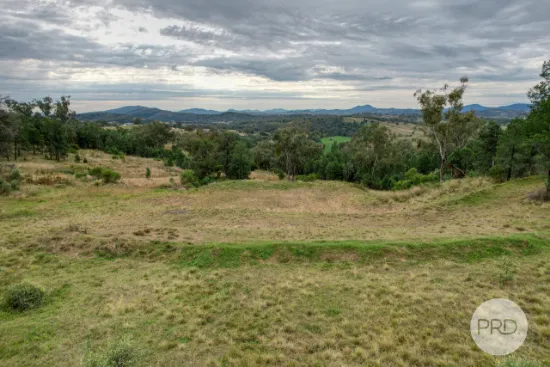 1A Grandview Place, Quirindi, NSW, 2343